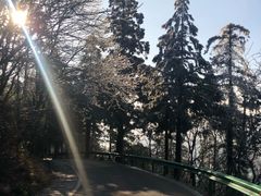 -南岳衡山风景名胜区