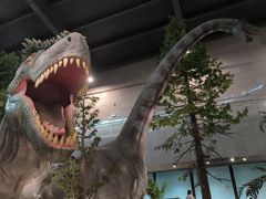 -湖南省地质博物馆