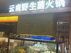-季季山•云南野生菌火锅(上海首店)