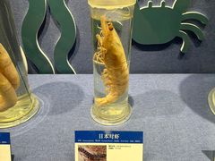 -大连自然博物馆