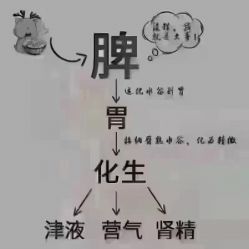 -香薇妮丝女子减肥院