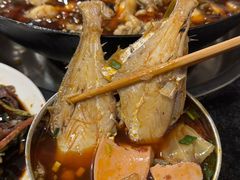 -鸿顺老铁锅美蛙鱼府(解放碑店)