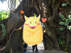 -海南槟榔谷黎苗文化旅游区