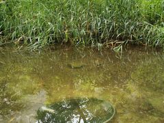 -碓臼峪自然风景区