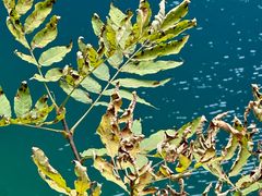 -叠溪松坪沟景区