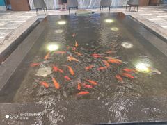 -弘安丽水温泉酒店