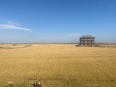-红海滩国家风景廊道