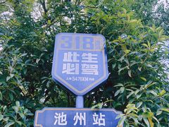 -杏花村文化旅游区
