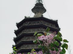 -西海子公园