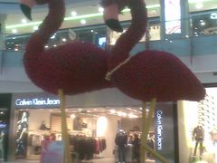 店内环境-凯德广场(学府店)