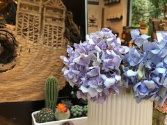 -Cafe In Little Forest