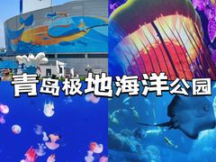 -海合安青岛极地海洋公园