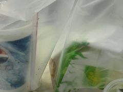 -华莱士·全鸡汉堡(乐城店)