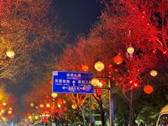 -大唐不夜城