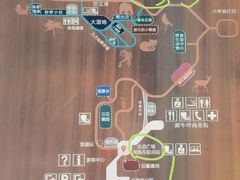 -西双版纳原始森林公园