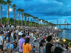 -宝安西湾红树林湿地公园