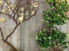 -美豪怡致酒店(上海长寿路店)