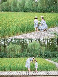 -前小桔亲子创意农场·草莓采摘·露营烧烤