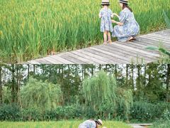 -前小桔亲子创意农场·草莓采摘·露营烧烤