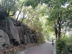 -金鸡山公园