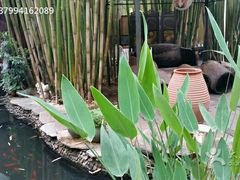 -新竹里馆·花园餐厅(兴苑路店)