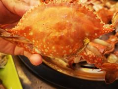 -四海蒸鲜蒸汽海鲜自助(北戴河店)