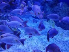 -成都浩海立方海洋公园