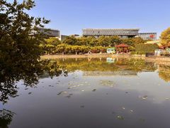 -嘉定紫藤园