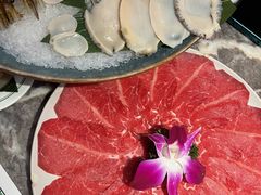 -禄婶鸡煲·打边炉