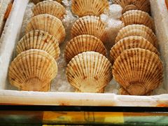 -顺德了能馆(虎门店)