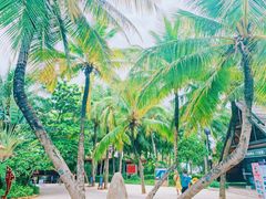 -海南分界洲岛旅游区