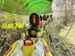-大奇山国家森林公园