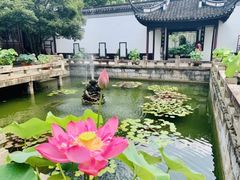 -上海醉白池公园