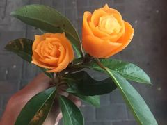 -临泉大地影城(大润发店)