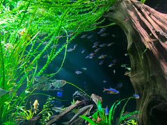 -上海海洋水族馆