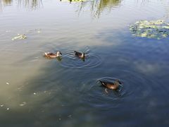 -前关湿地公园