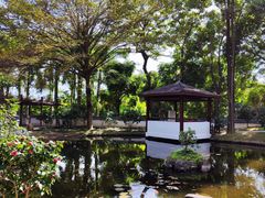 -深圳国际园林花卉博览园