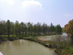 -上海海湾国家森林公园