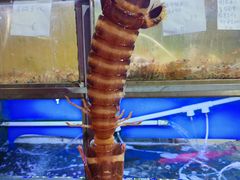 -富来美食(成发大厦店)