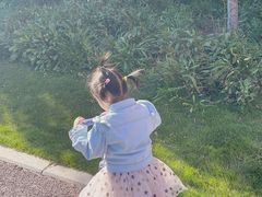 -济南国际园博园