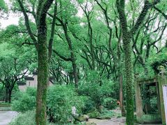 -天一阁博物院