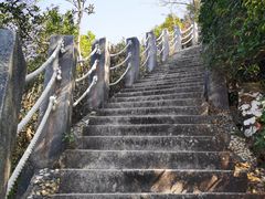 -梧桐山风景名胜区