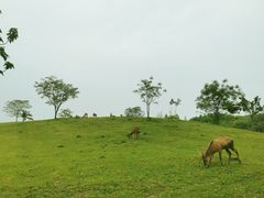 -良渚古城遗址公园