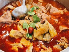 全牛锅-筋头巴脑牛一锅(朝阳路总店)