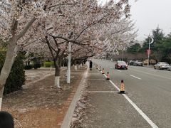 -中国海洋大学（崂山校区）-游泳馆