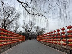 -国家植物园南园