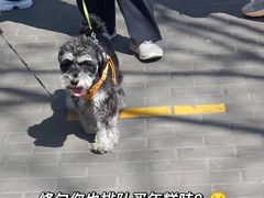 -清真·白记年糕(牛街北口店)
