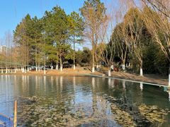 -白塘生态植物园