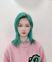 -YESIDO椰岛造型