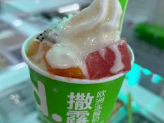 -Salud撒露欧洲冻酸奶(五道口购物中心店)